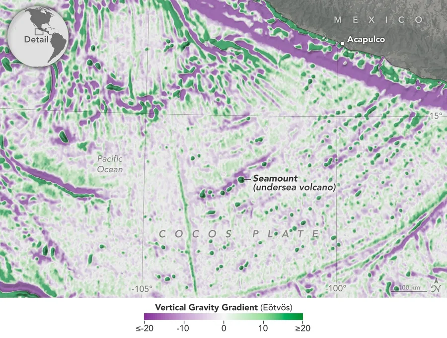 Researchers mapped every neural connection in a fruit fly and found a surprise