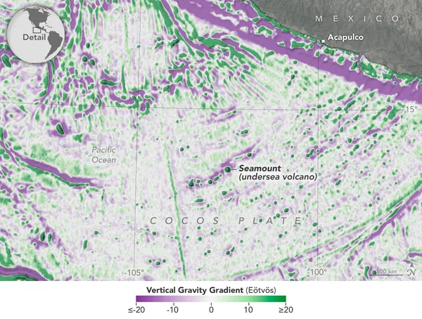 Researchers mapped every neural connection in a fruit fly and found a surprise