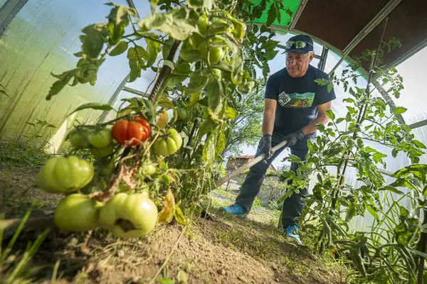 Juan Luis Cañas: “Physical exertion and working in the garden relax me.”