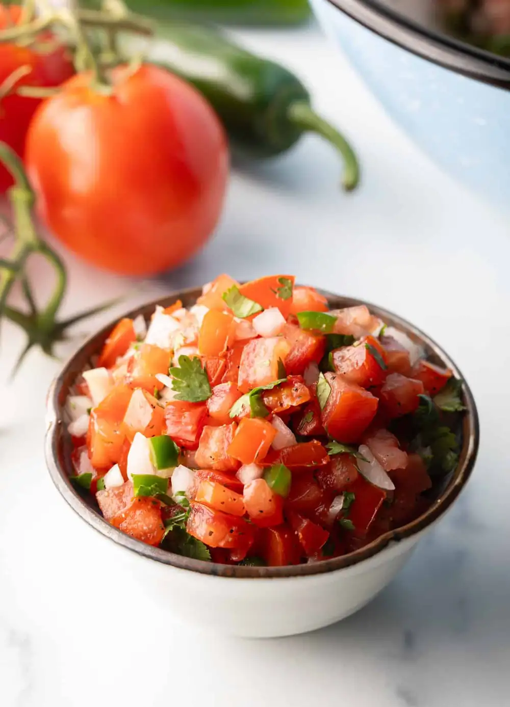 How to Make Pico de Gallo (Easy Pico de Gallo Recipe)