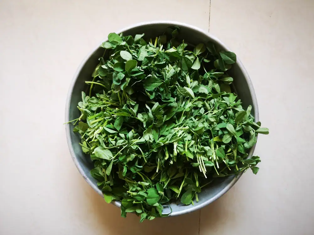India's Beautifully Bitter Foods