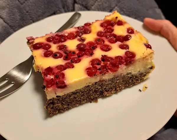 Poppyseed and cottage cheese slice with currants