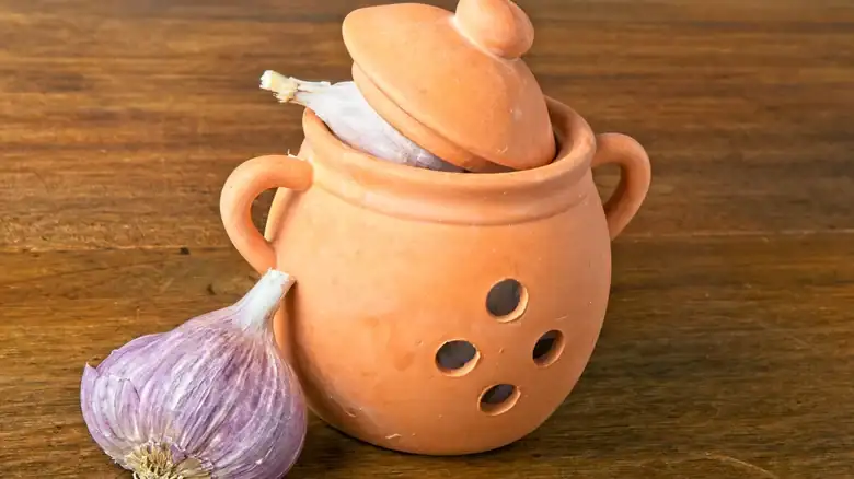 Why is it a good idea to store garlic in covered containers with holes?