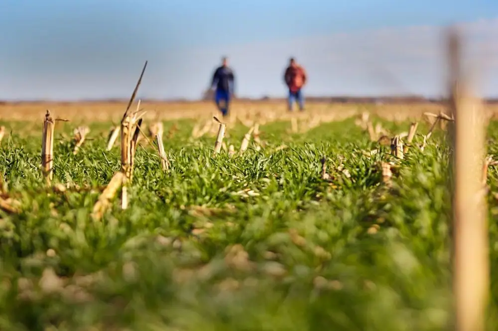 PepsiCo, Mars, ADM team up for regenerative agriculture project in Poland