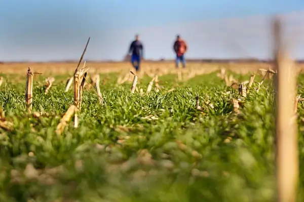 PepsiCo, Mars, ADM team up for regenerative agriculture project in Poland