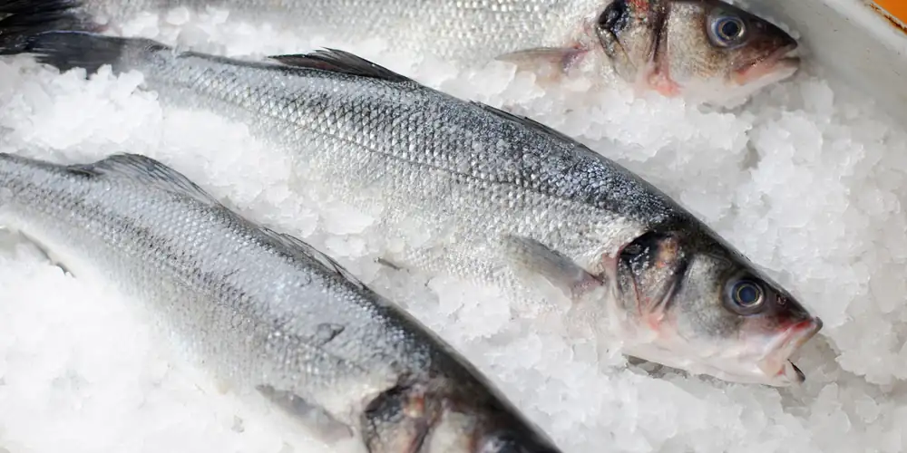 How to Cook Sea Bass