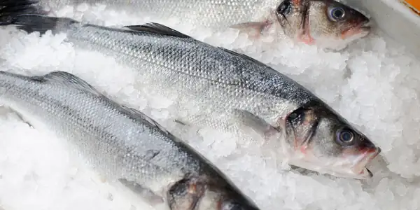 How to Cook Sea Bass