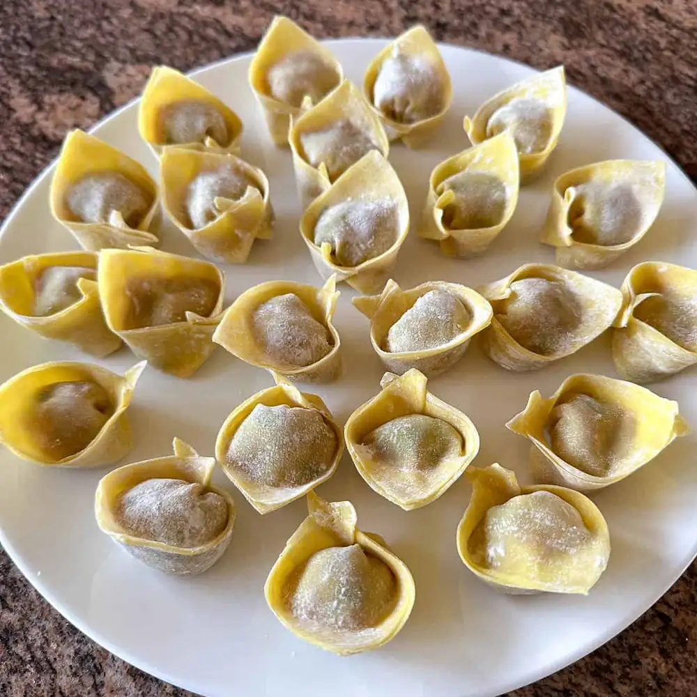 Shrimp and Pork Wontons