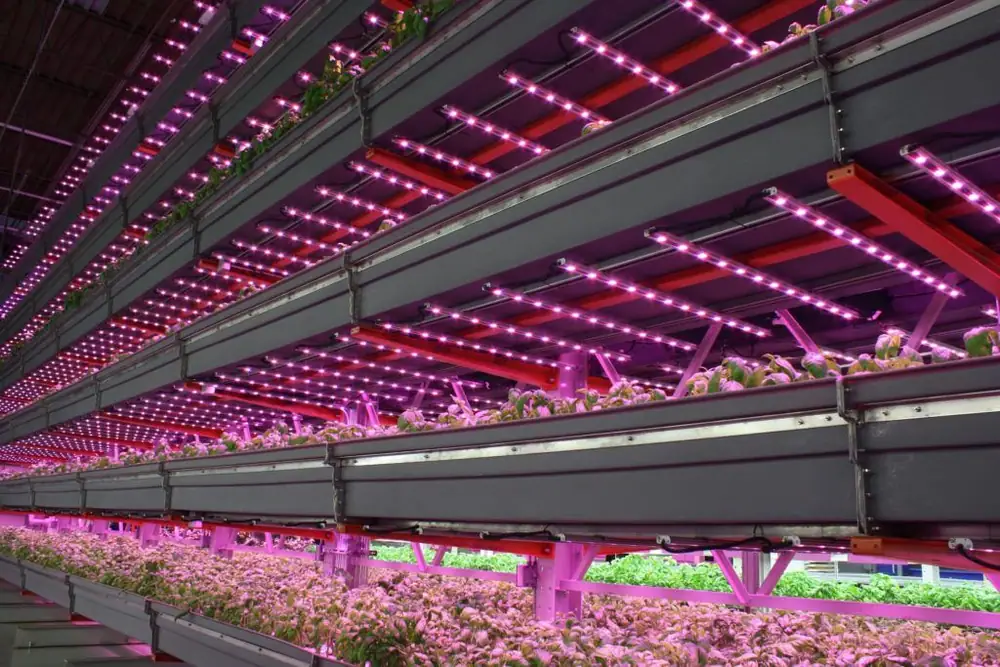 Circular Economy and True Sustainability: the Next Phase for Vertical Farming