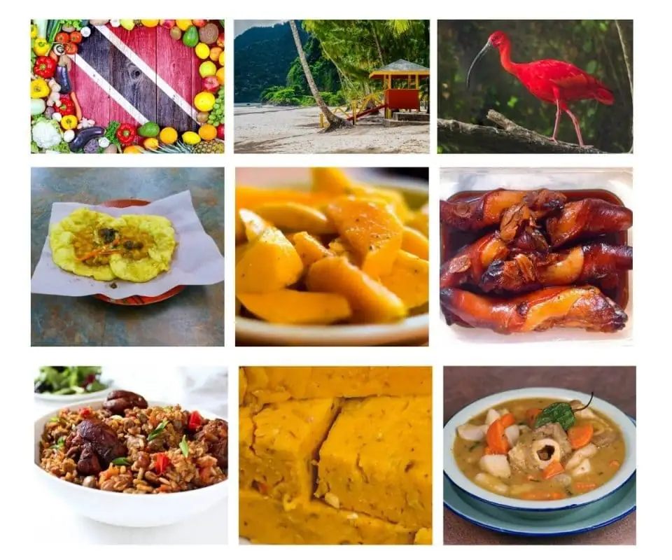 Top 25 Foods in Trinidad and Tobago (With Pictures!)