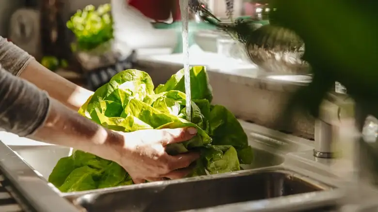 When to wash vegetables to avoid bacteria in the kitchen
