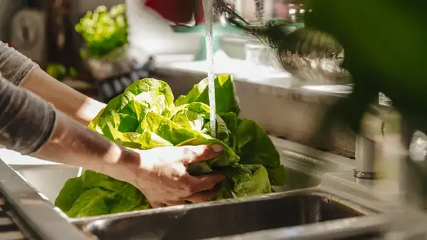 When to wash vegetables to avoid bacteria in the kitchen