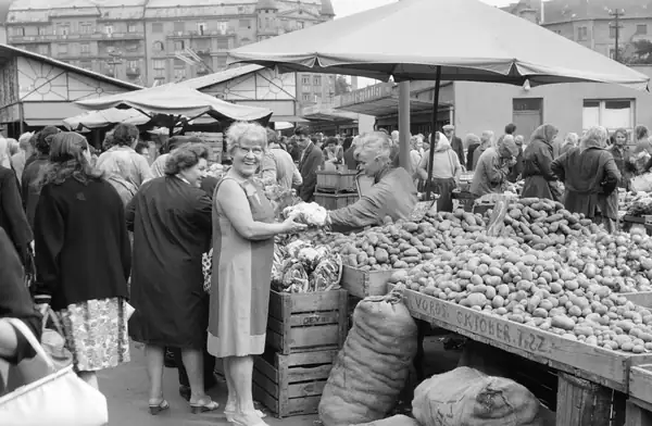 Encyclopedia of Hungarian dishes: dödölle