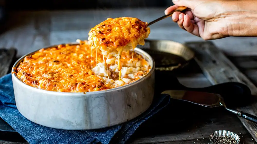 Macaroni gratin with meat sauce