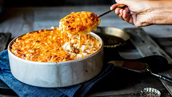 Macaroni gratin with meat sauce