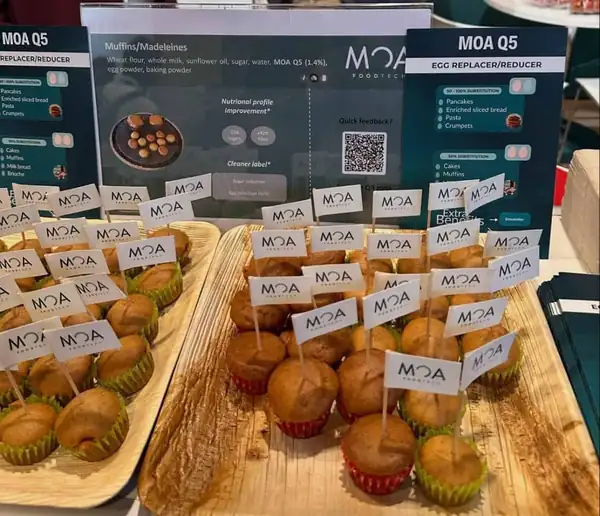 MOA Foodtech Introduces MOA Q5, a Fermentation-Based Egg Alternative for Food Manufacturers - vegconomist