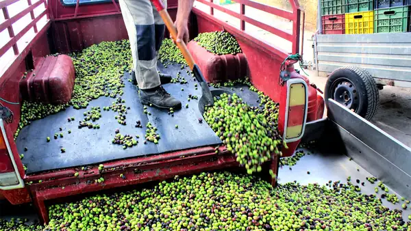 EU Reform Seeks to Strengthen Farmers’ Bargaining Power