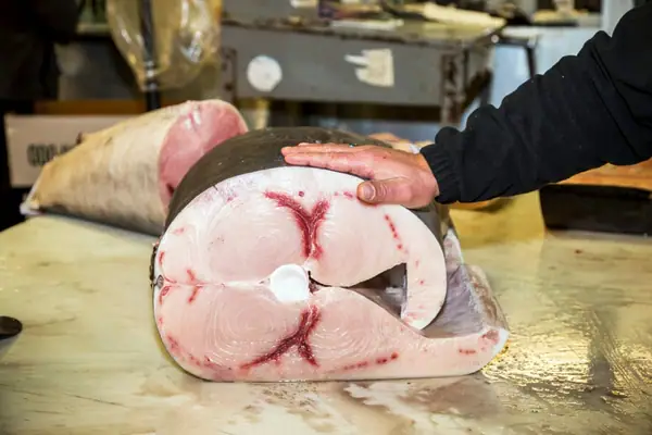 Night Shift at the New Fulton Fish Market
