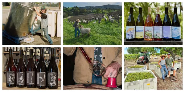 9 Winemakers Defining the Next Generation of California Wine, According to Sommeliers