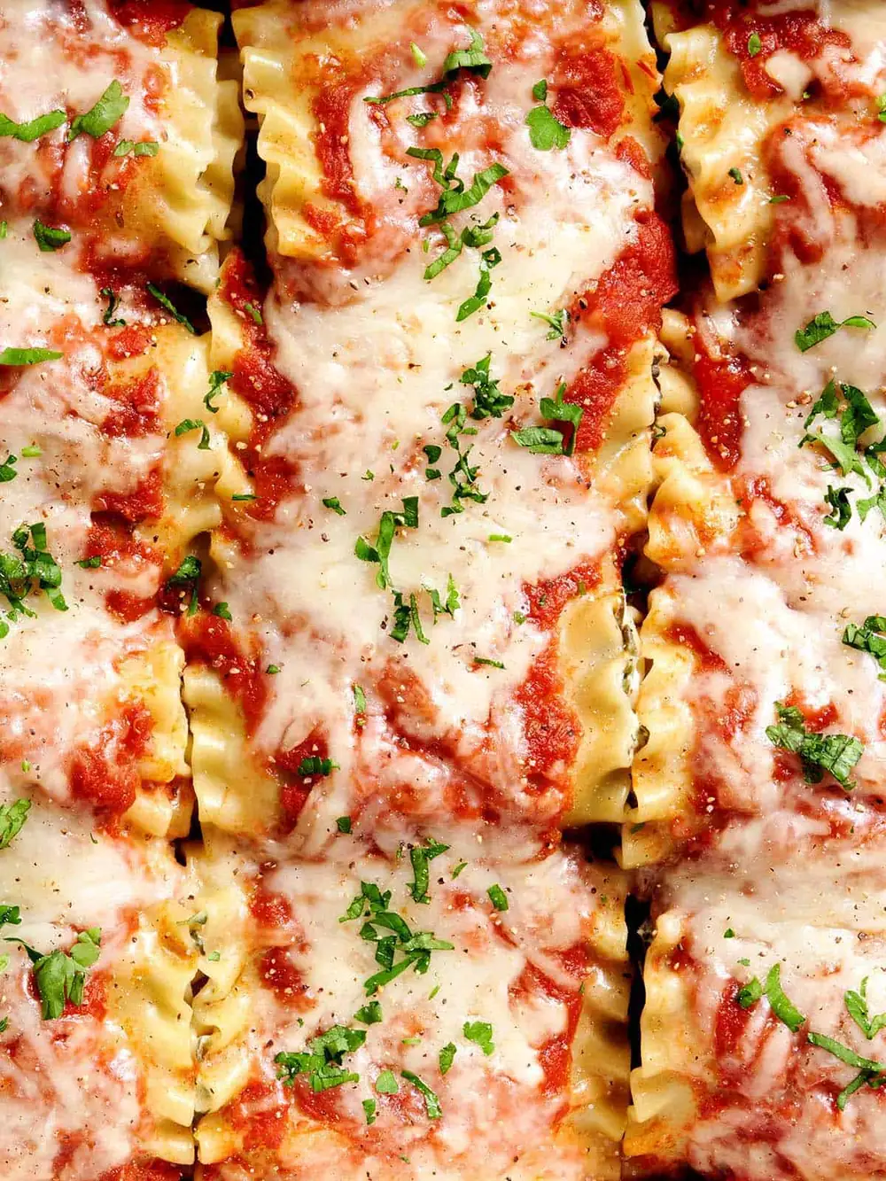 Lasagna Roll Ups