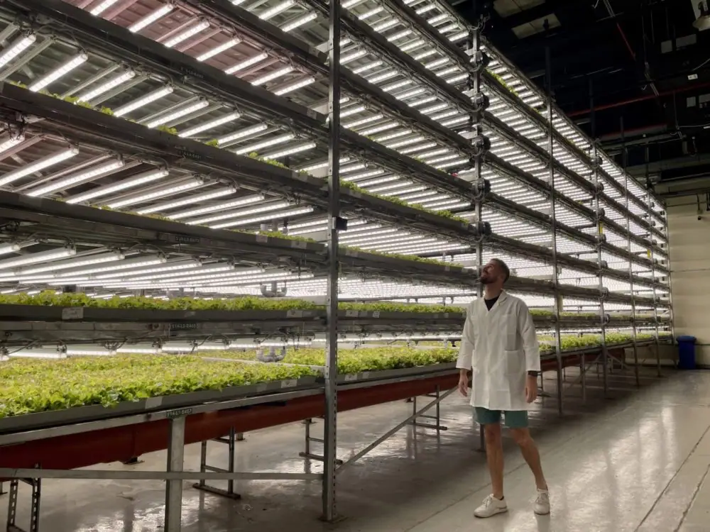 Renewable energy now a 'top priority' for indoor agriculture: report