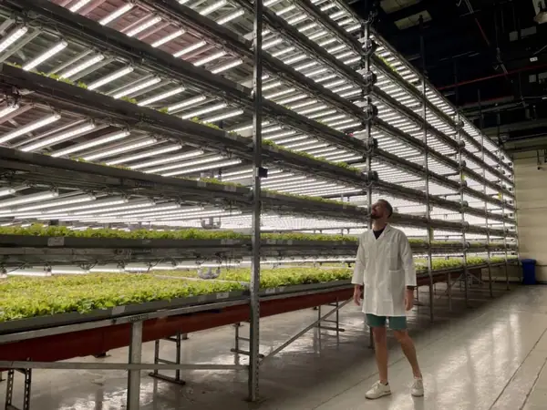 Renewable energy now a 'top priority' for indoor agriculture: report