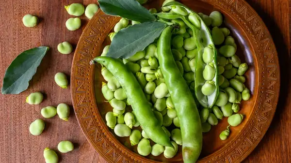 Peeling Fava Beans? Skip The Blanching And Do This Instead
