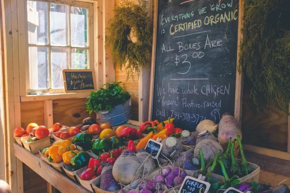 Steward launches online services to help farmers find new digital routes to market