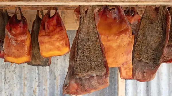 What Is Hákarl, And Is It Safe To Eat?
