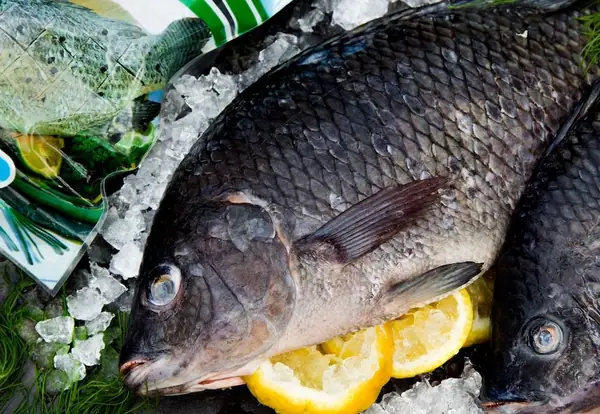 In first Africa investment, Aqua-Spark backs Lake Harvest to spur local farmed fish production