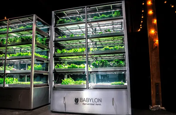 Babylon Micro-Farms closes $2.3m seed round