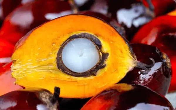 Scottish University Develops Sustainable & Clean Label Alternative to Palm Oil