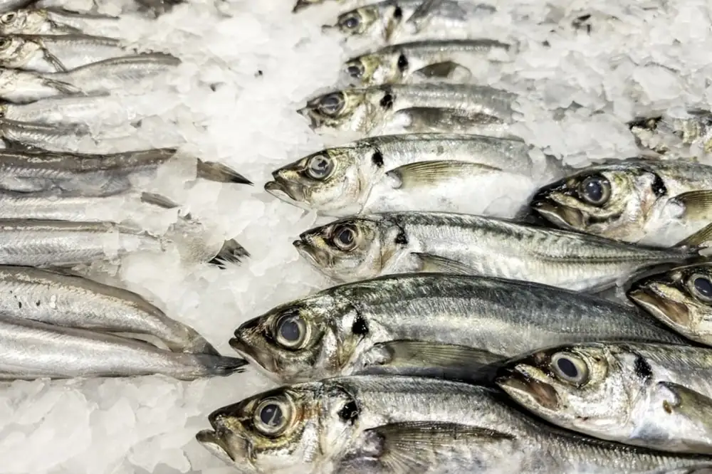 Here are the signs: How to tell if fish is stale?