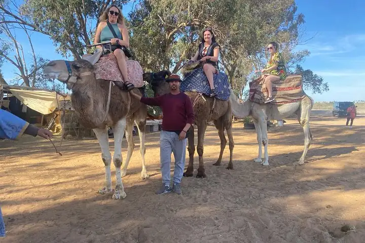 Morocco Drinking Tours: Find 6 Delicious Adventures