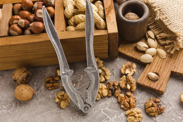 QUIZ: Learn about the types of popular nuts. They are all delicious
