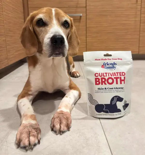 Friends & Family Adds Cultivated Quail Broth Toppers to Its Singapore Pet Food Line