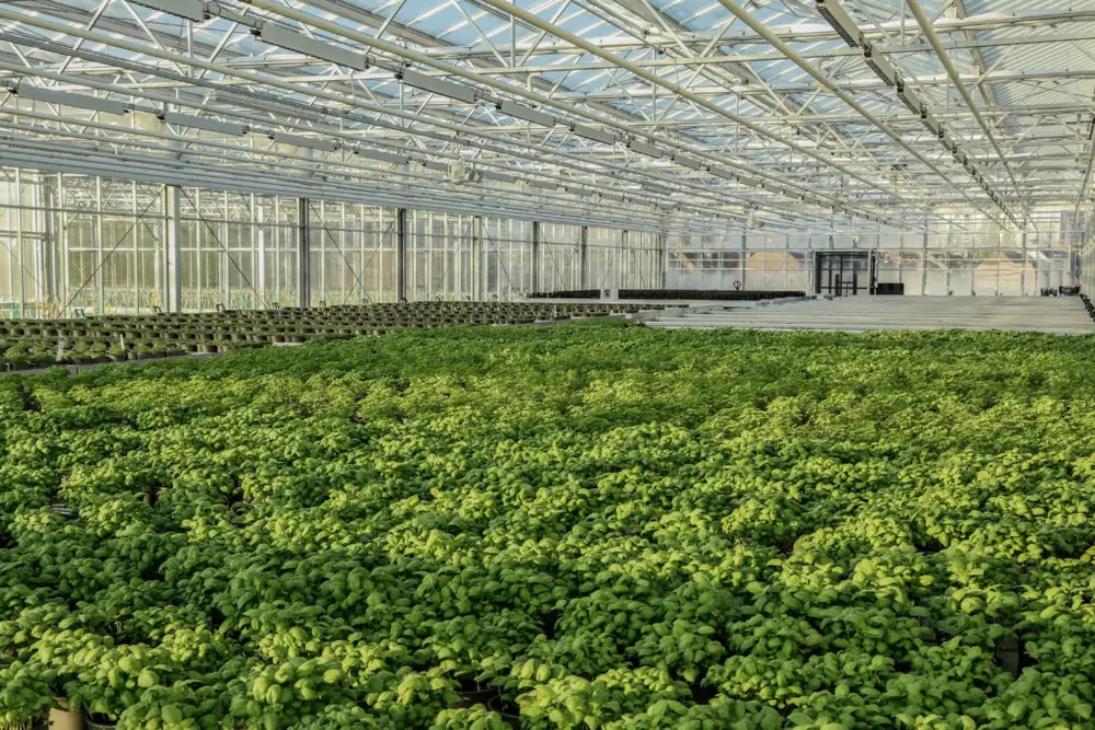 BIGH Raises €4.3m for Largest Urban Rooftop Farm in Europe