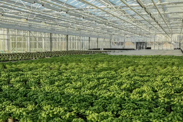 BIGH Raises €4.3m for Largest Urban Rooftop Farm in Europe
