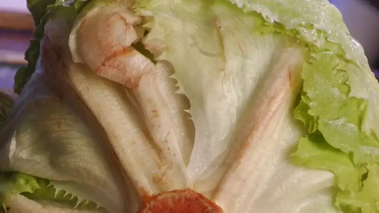 The Science Behind Why Your Lettuce Turns Pink And If Its Safe To Use
