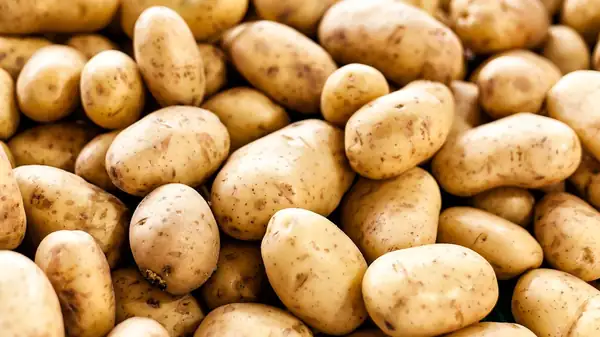 Saudi Arabia achieves potato self-sufficiency, expands frozen shipments, processing industry