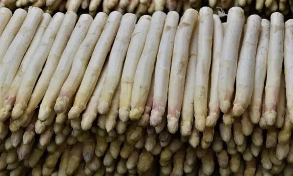 Asparagus season in Germany