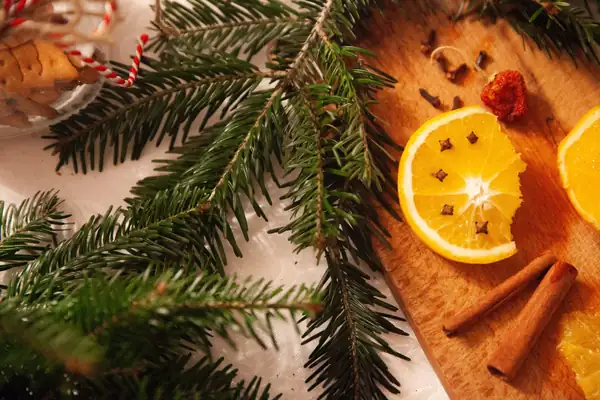 Key Moments for Plant-Based Promotions: Christmas