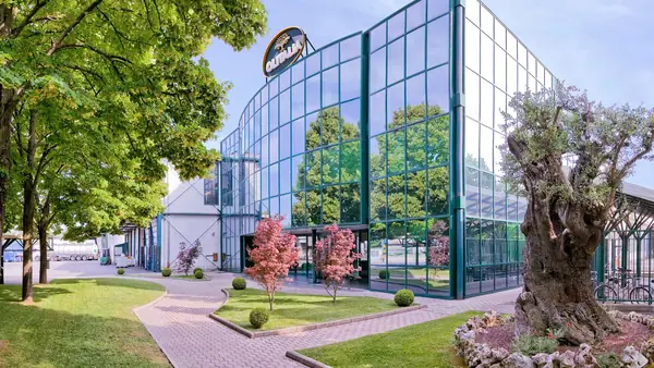 Diversification Drives Olitalia’s Global Success as Italy’s Olive Oil Sector Evolves