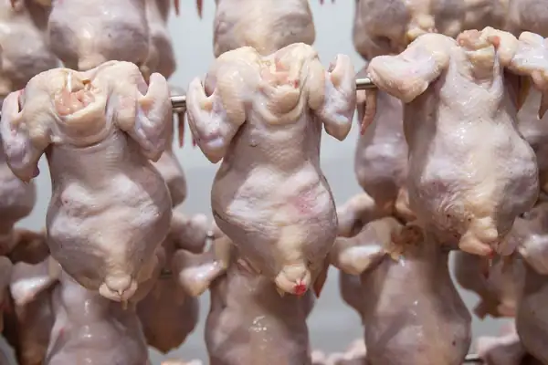 Government Claims U.S. Meat That Falls Below U.K. Food Standards Is Off the Menu