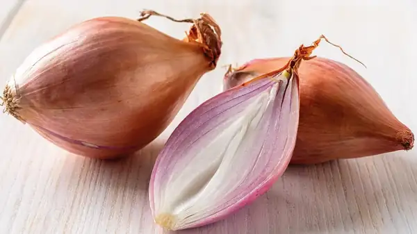 Yellow onion is the best substitute for shallot