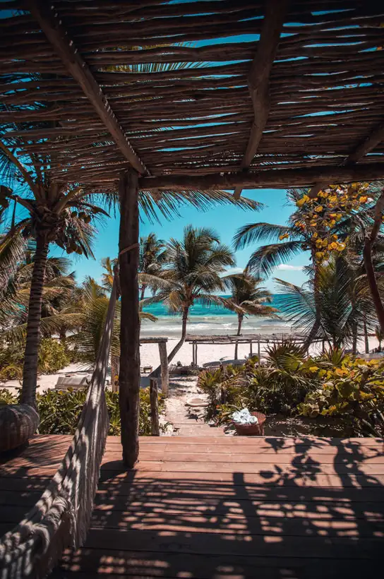 CODE Travel Guide: Riviera Maya